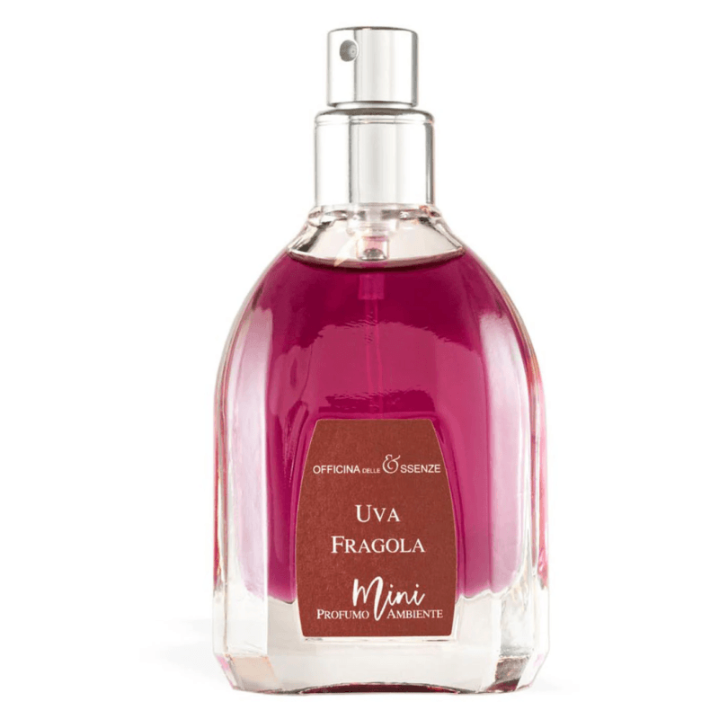OFFICINA DELLE ESSENZE mini namų kvapų purškiklis "Uva Fragola" 25ml