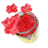 IVYBEARS® PROTEIN BOOST Maisto papildas raumenims